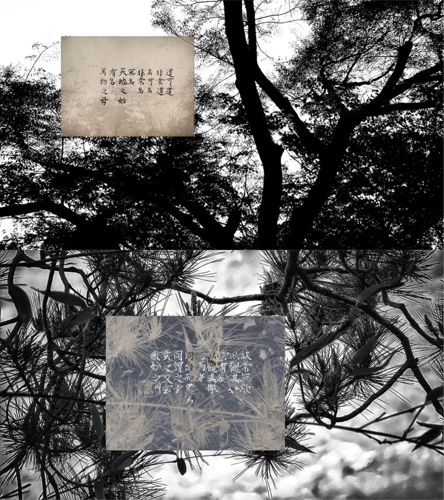 道可道 非常道 (dao ke dao, fei chang dao) — le chapitre 1 calligraphié, sur deux photos